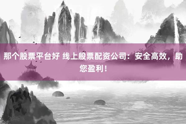 那个股票平台好 线上股票配资公司:安全高效,助您盈利!