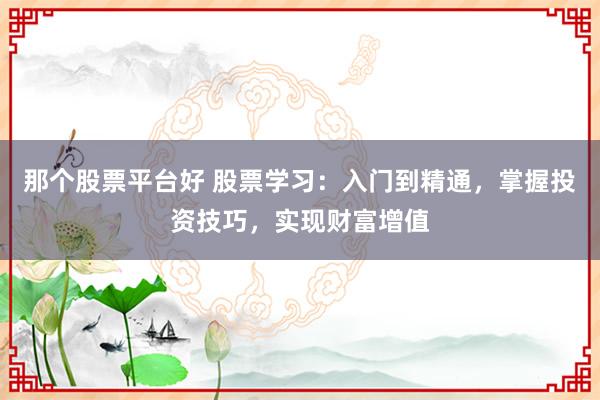 那个股票平台好 股票学习：入门到精通，掌握投资技巧，实现财富增值