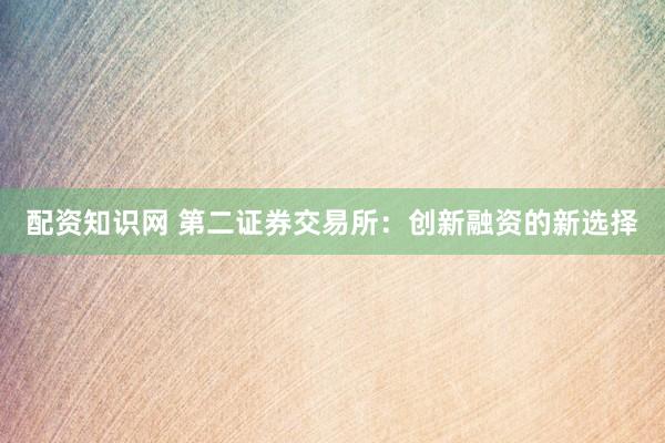 配资知识网 第二证券交易所：创新融资的新选择