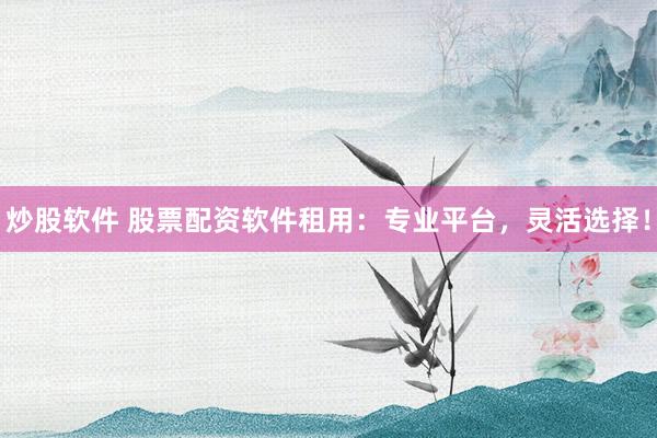 炒股软件 股票配资软件租用：专业平台，灵活选择！