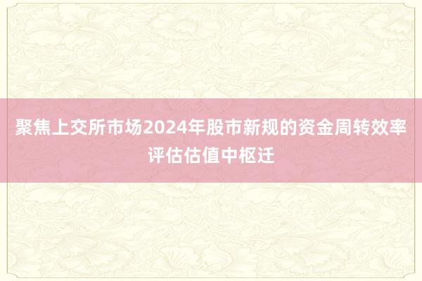 聚焦上交所市场2024年股市新规的资金周转效率评估估值中枢迁