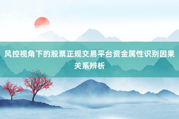 风控视角下的股票正规交易平台资金属性识别因果关系辨析