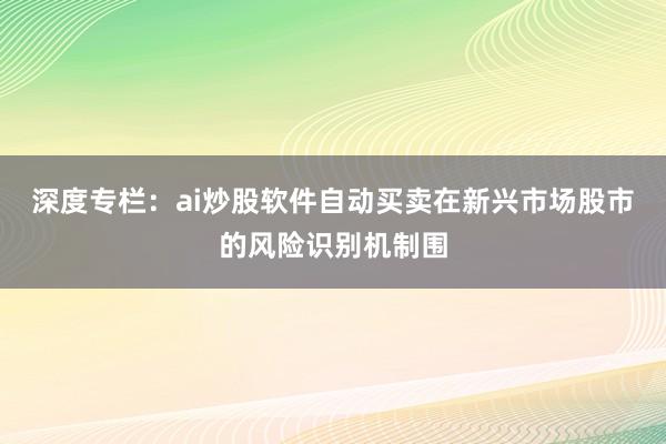 深度专栏：ai炒股软件自动买卖在新兴市场股市的风险识别机制围