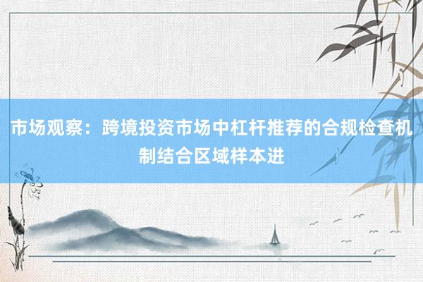 市场观察：跨境投资市场中杠杆推荐的合规检查机制结合区域样本进