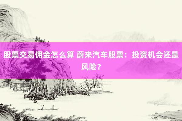 股票交易佣金怎么算 蔚来汽车股票：投资机会还是风险？