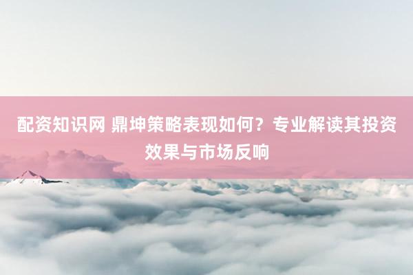 配资知识网 鼎坤策略表现如何？专业解读其投资效果与市场反响