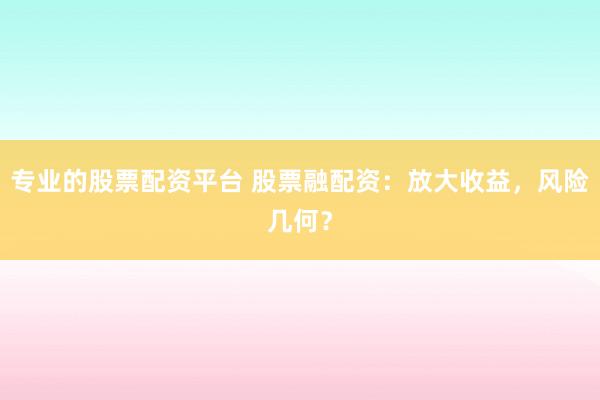 专业的股票配资平台 股票融配资：放大收益，风险几何？