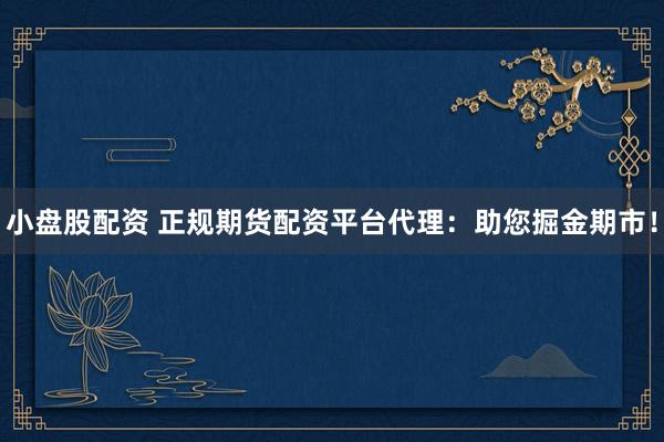 小盘股配资 正规期货配资平台代理：助您掘金期市！