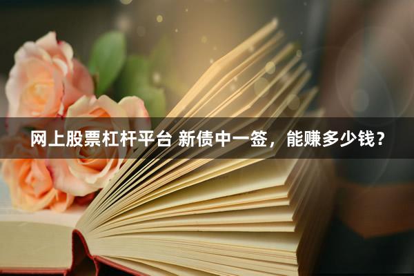 网上股票杠杆平台 新债中一签，能赚多少钱？